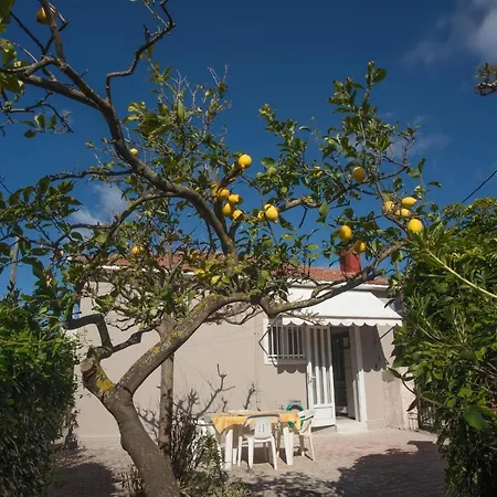 Fay's Kefalonia